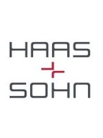 Kaminglas für HAAS SOHN ADRIA MINI II