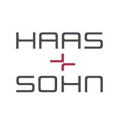 Kaminofen HAAS SOHN